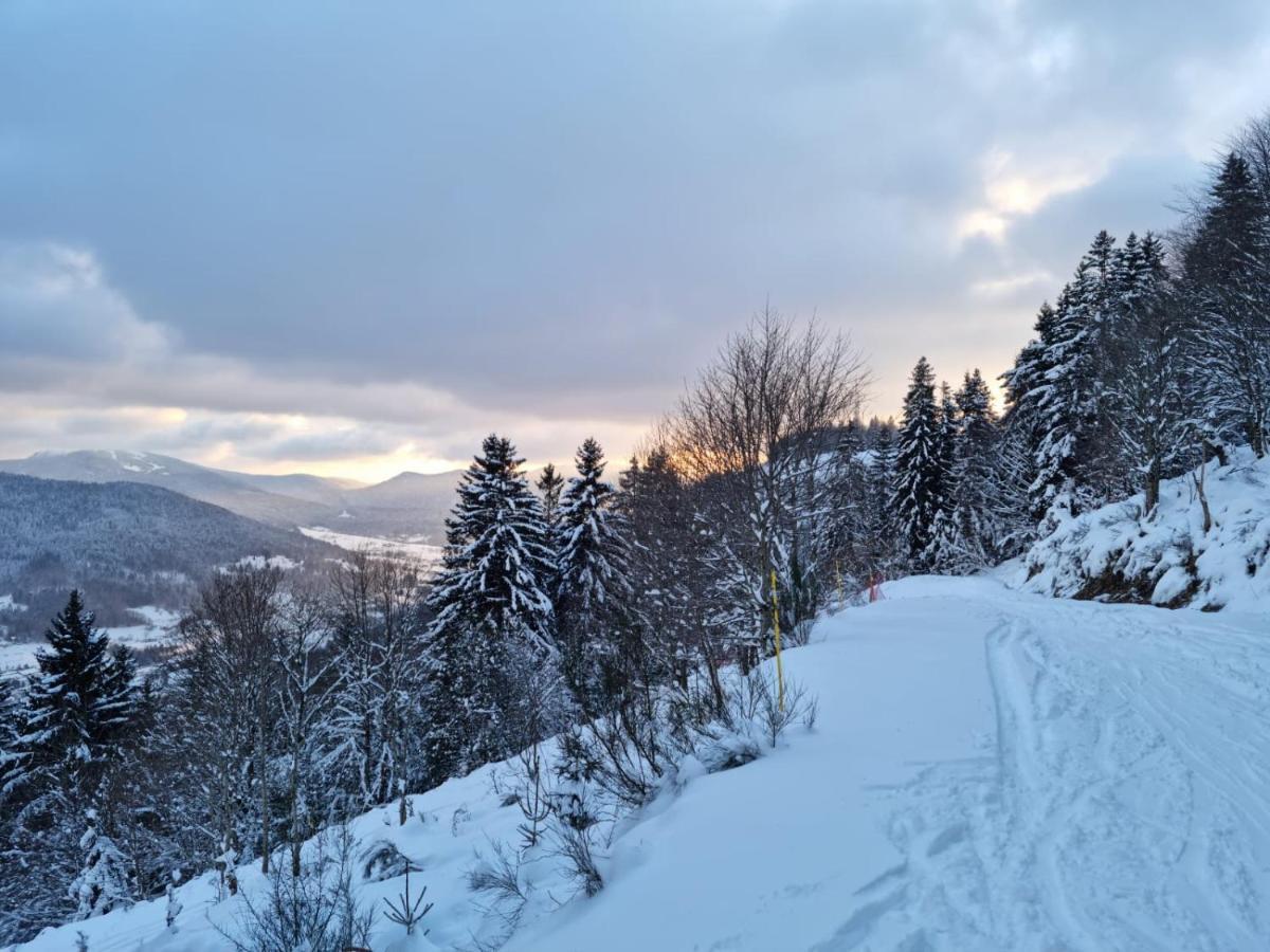 Villa Les Randogodilleurs Avec Jacuzzi A 2Kms Des Pistes Et 350M Du Theatre Du Peuple ! Bussang Esterno foto
